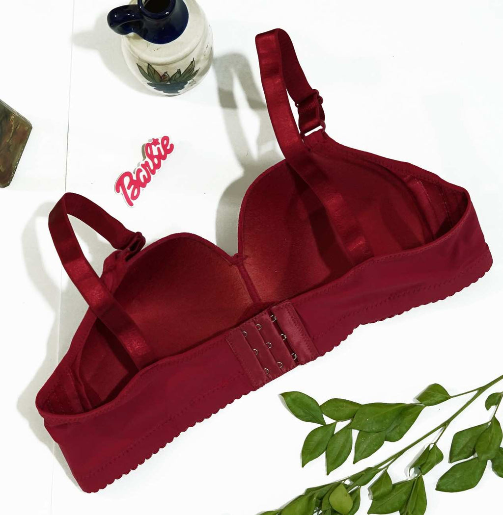 Daily Wear New Bra Design