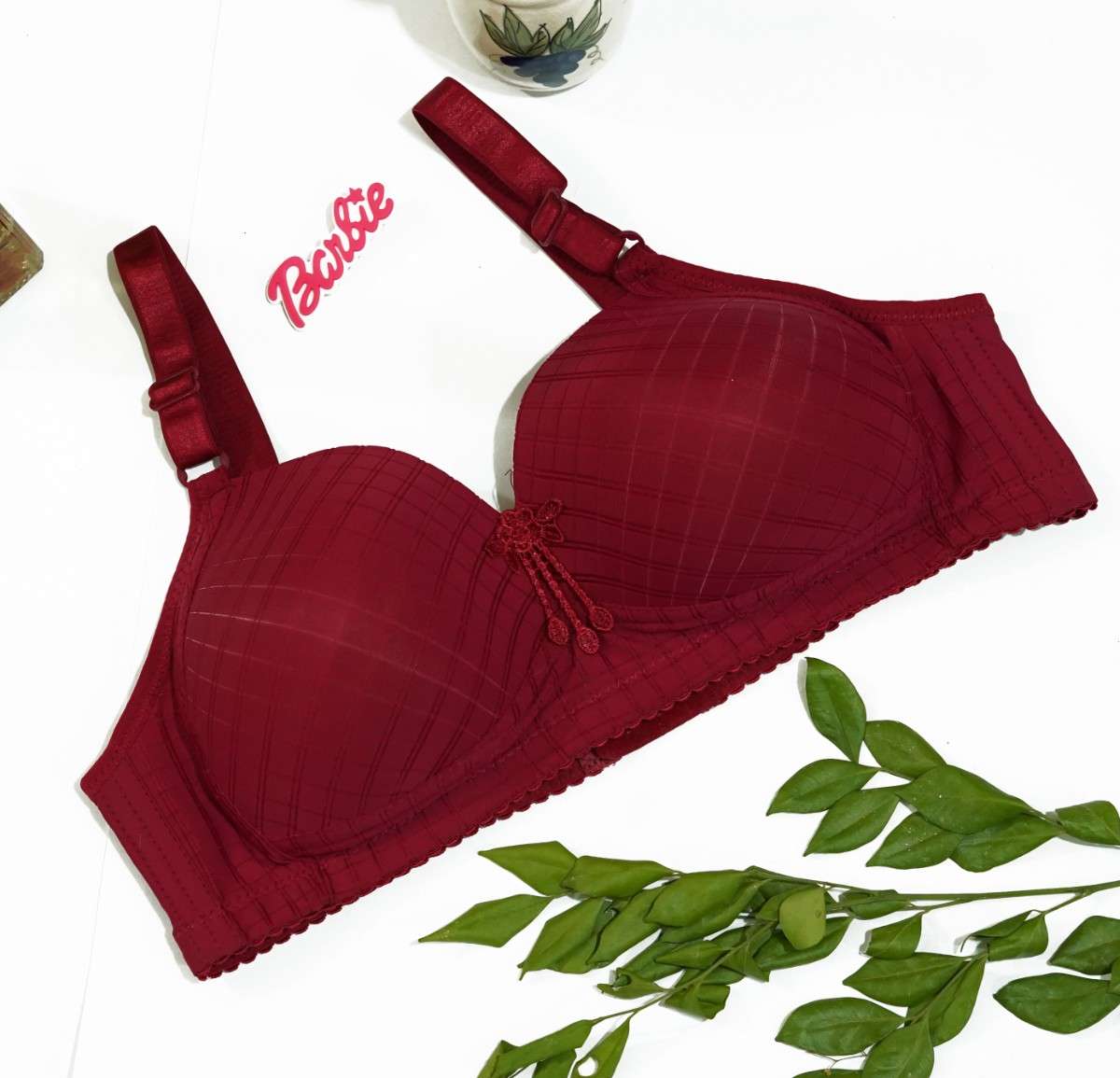 Daily Wear New Bra Design