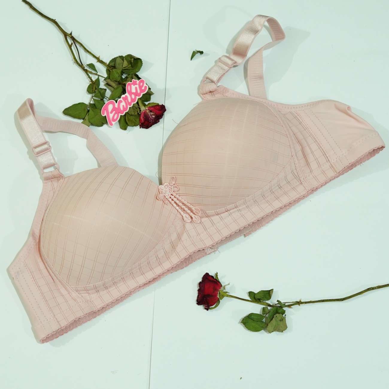 Daily Wear New Bra Design
