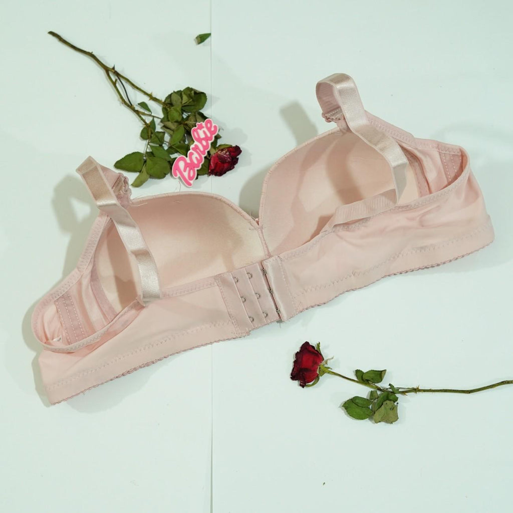 Daily Wear New Bra Design