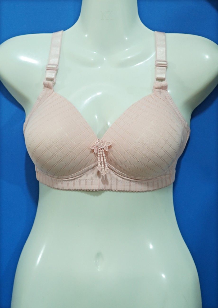 Daily Wear New Bra Design