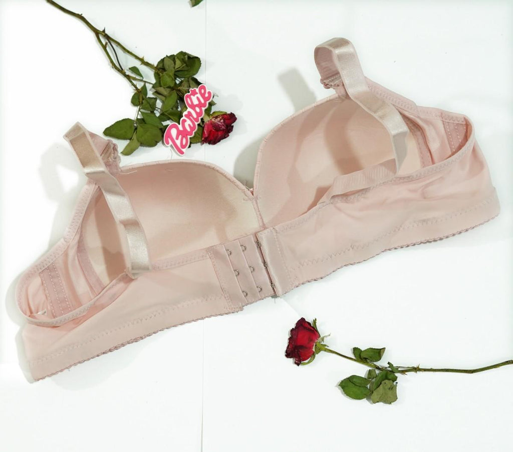 Daily Wear New Bra Design